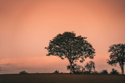 Silhouette tree on field against sky during sunset