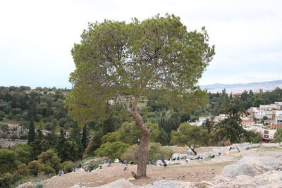 View of trees against sky