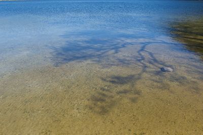High angle view of beach