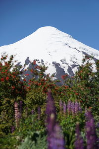 Scenic view of snow covered mountain against clear sky