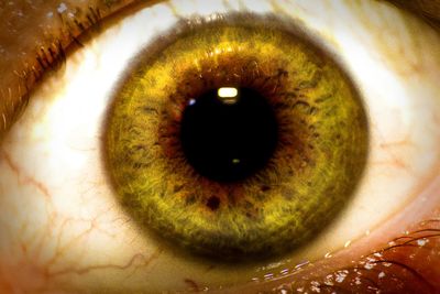Extreme close up of human eye