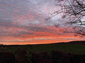 Scenic view of field against sky during sunset