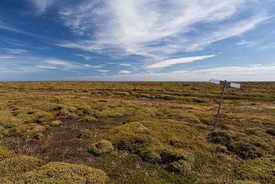 Scenic view of landscape against sky