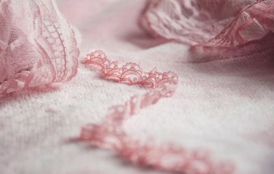 Close-up of pink petals