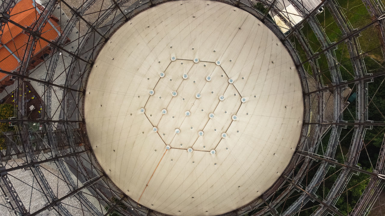 HIGH ANGLE VIEW OF PLANT GROWING ON WOOD