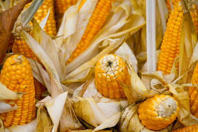 Close-up of yellow pumpkins
