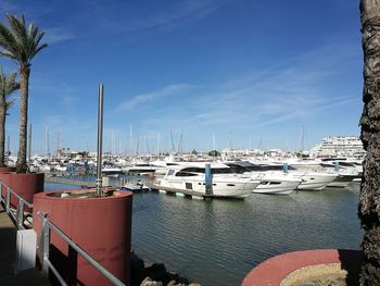 Boats moored in harbor