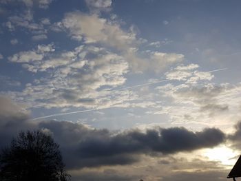 Low angle view of tree against sky