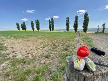 Red flowers on wooden post on field against sky