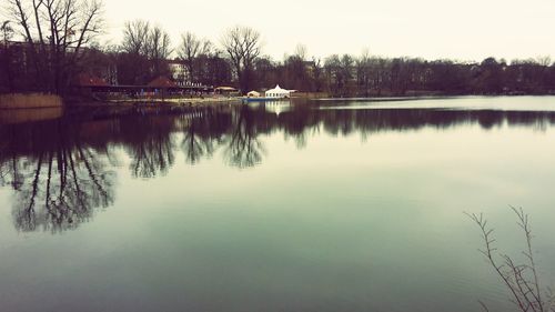 Reflection of trees in water