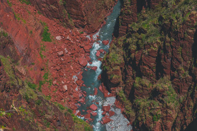 High angle view of rocks amidst trees in forest