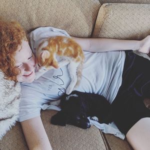 High angle view of cat sleeping on bed