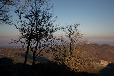 View of bare tree at sunset