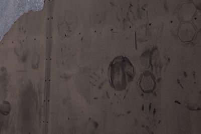 Close-up of built structure