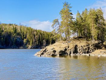 Scenic view of rocks by trees against sky