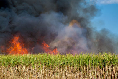 Scenic view of bonfire on field