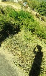 High angle view of shadow on grass