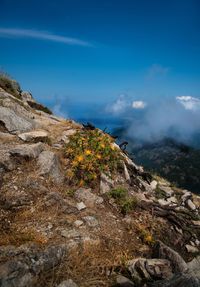 Scenic view of mountain against sky