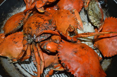 High angle view of crabs in cooking pan