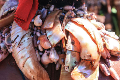 Close-up of crab for sale at market stall