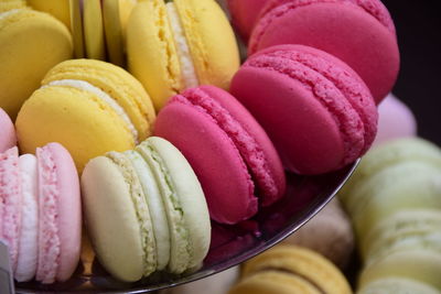 Close-up of colorful macaroons in plate