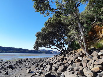 Scenic view of sea against clear blue sky