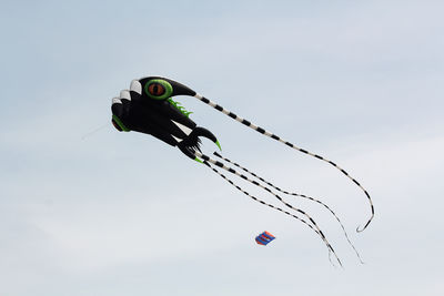 kite sports