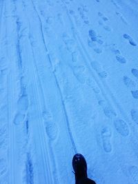 Low section of person standing on snow