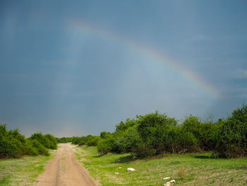 Road amidst trees against sky