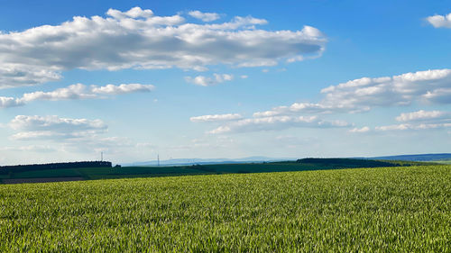 Scenic view of agricultural field against sky