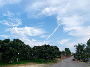 Empty road along trees and plants against sky