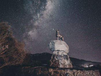 Low angle view of statue against sky at night