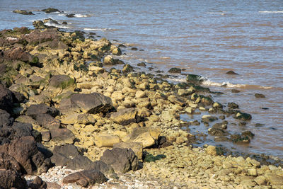 High angle view of rocks on shore