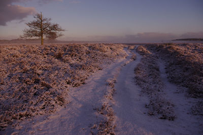 Scenic view of landscape against sky during winter