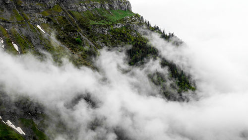 Scenic view of trees against sky