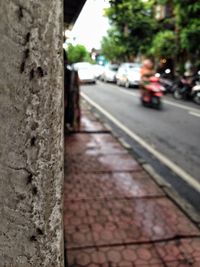 Close-up of tree against sky