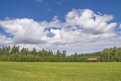 Scenic view of field against sky