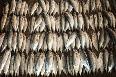Full frame shot of fish for sale in market