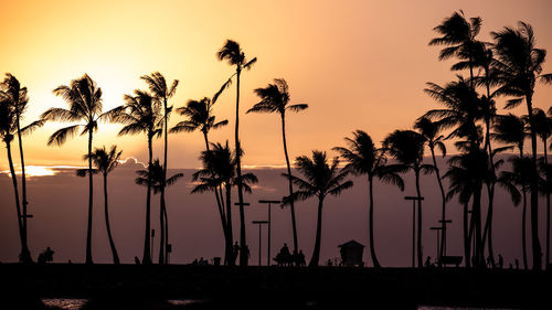 Silhouette palm trees on beach against sky during sunset