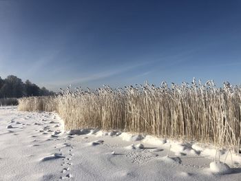 Panoramic shot of snow covered field against sky