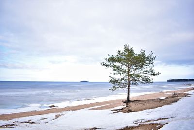 Scenic view of sea against sky during winter