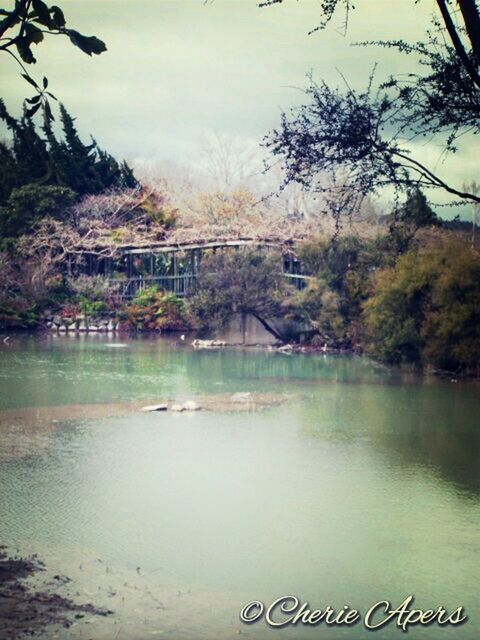 tree, water, river, tranquility, lake, tranquil scene, sky, nature, text, built structure, scenics, bridge - man made structure, reflection, beauty in nature, day, connection, waterfront, outdoors, no people, architecture