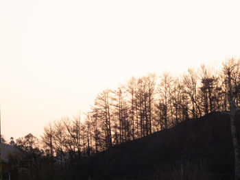 Silhouette bare trees against clear sky during sunset