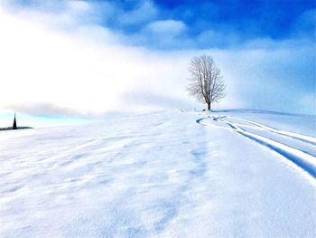 Bare tree on snow field against sky