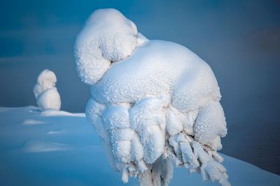 Close-up of frozen ice