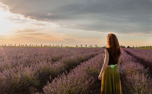 Scenic view of flowering field against sky during sunset