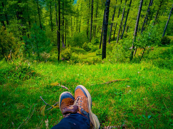 Sitting on grass