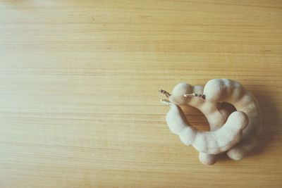 Close-up view of snake