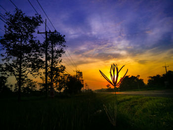 Close-up of silhouette plants on field against sky at sunset