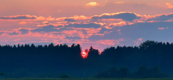 Silhouette trees against sky during sunset